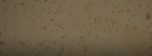 Brick Breaker - cozy arcade concept